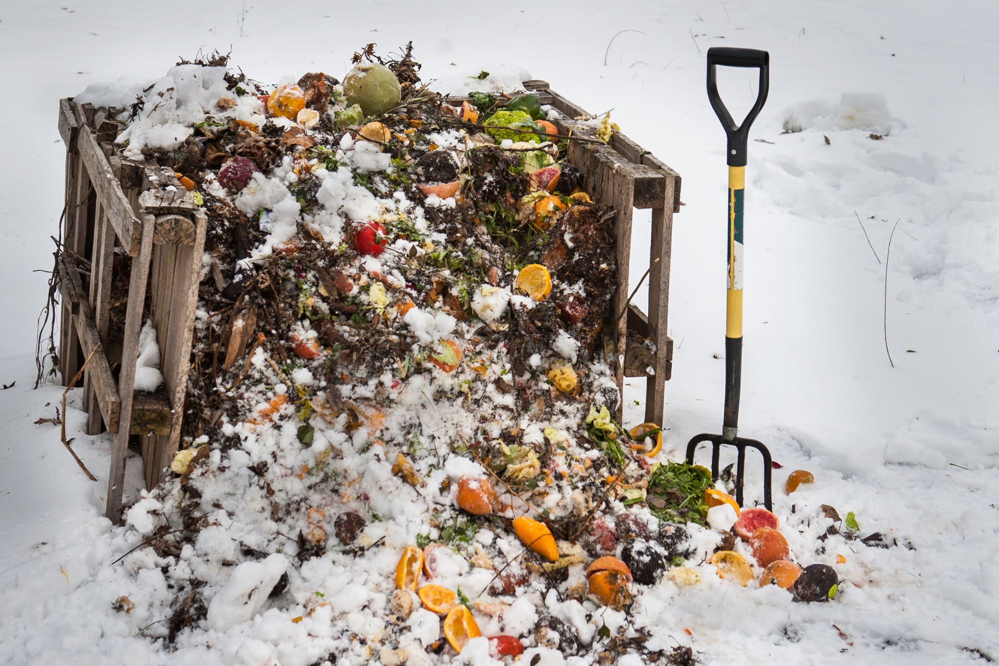 kompost winter 